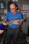 DSC_2266 (Klein).JPG