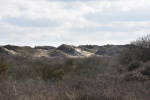 DSC_2705 (Klein).JPG