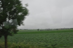 7490.jpg