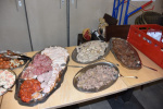 DSC_3285 (Klein).JPG