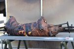 DSC_3310 (Klein).JPG