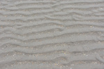 DSC_4406 (Klein).JPG