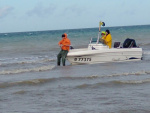 9510.jpg