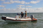 8955.jpg