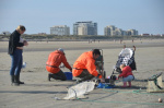 8141.jpg