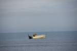 DSC_0300 (Klein).JPG