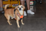 DSC_0983 (Klein).JPG